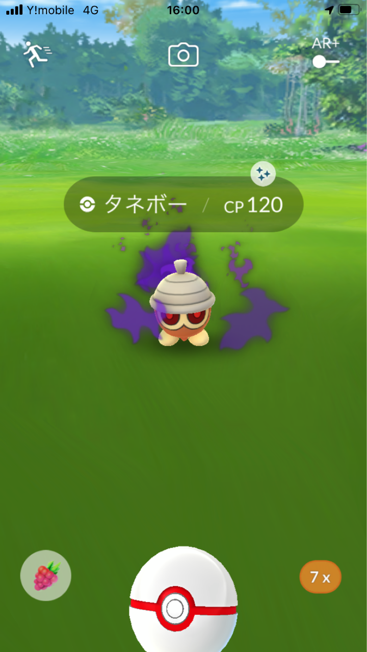 色違いポケモンget日記 再びタネボー ネオプレの熱狂的ファンですっ