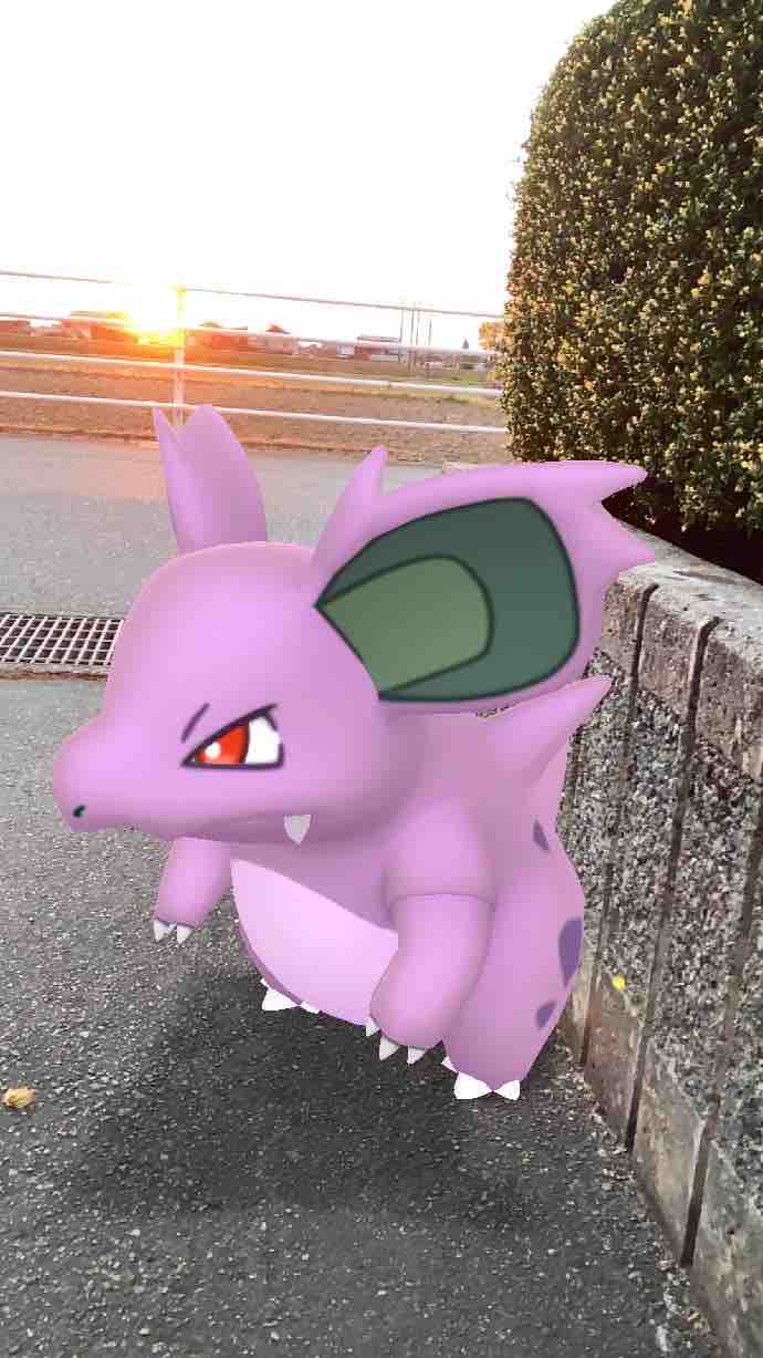 21年04月 ネオプレの熱狂的ファンですっ