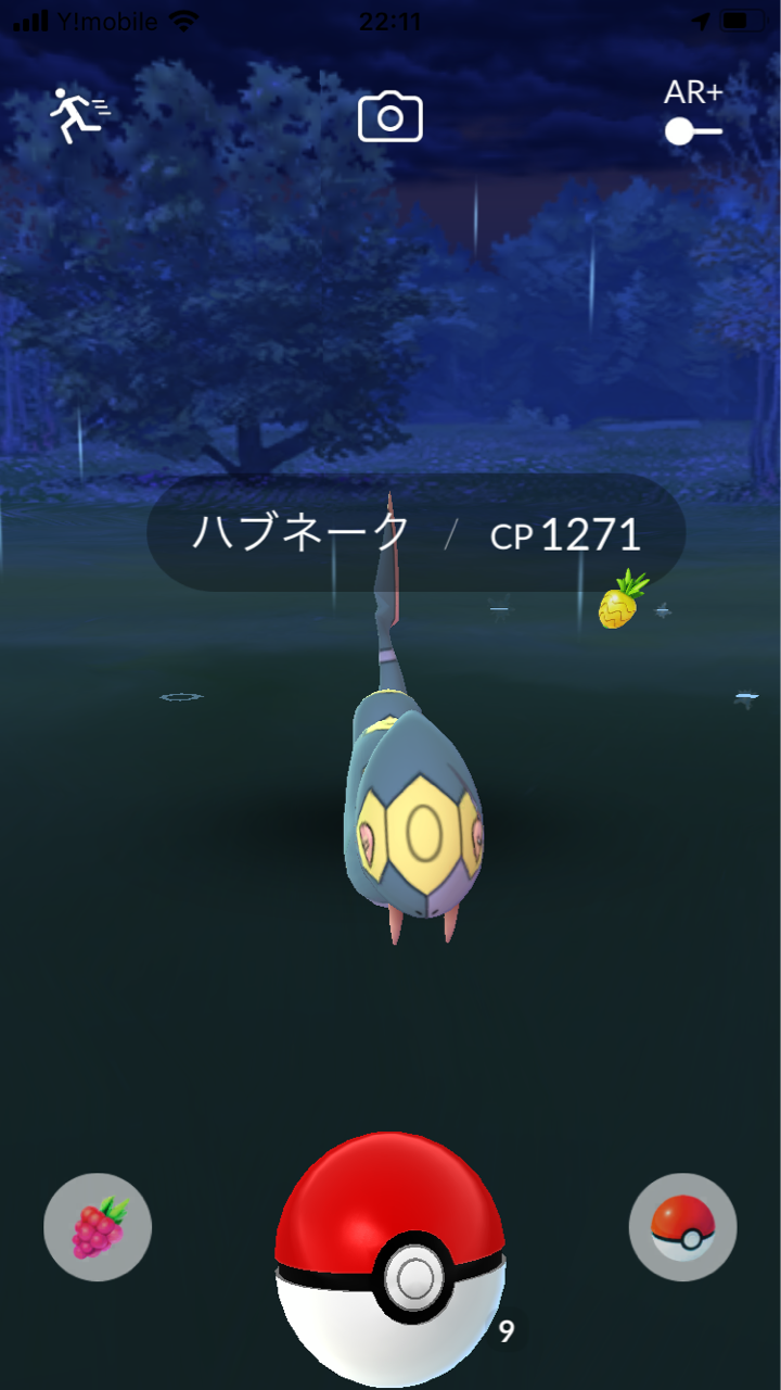 ポケットモンスター ネオプレの熱狂的ファンですっ ポケットモンスター ネオプレの熱狂的ファンですっ