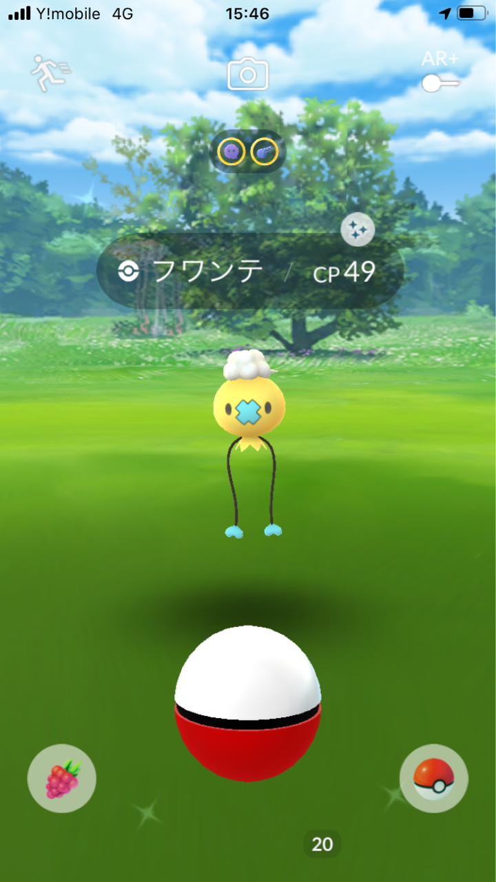 ポケットモンスター ネオプレの熱狂的ファンですっ ポケットモンスター ネオプレの熱狂的ファンですっ