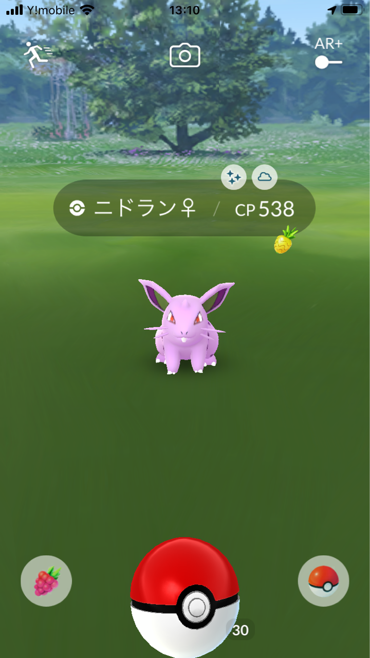 色違いポケモン ネオプレの熱狂的ファンですっ 色違いポケモン ネオプレの熱狂的ファンですっ