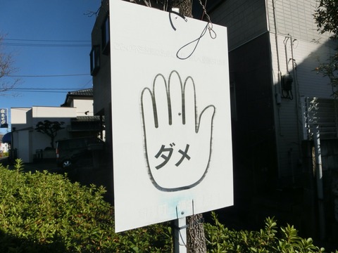 CIMG7208