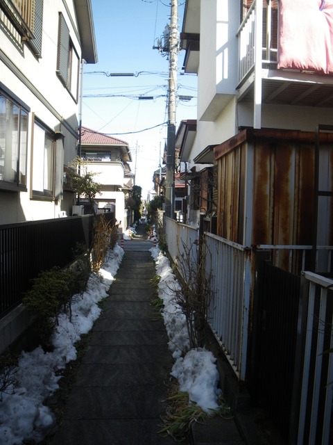 IMGP0016
