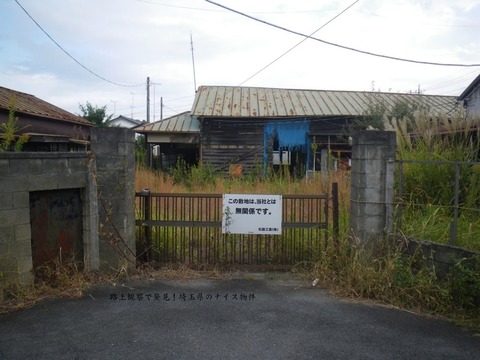 大沼 (加須市)