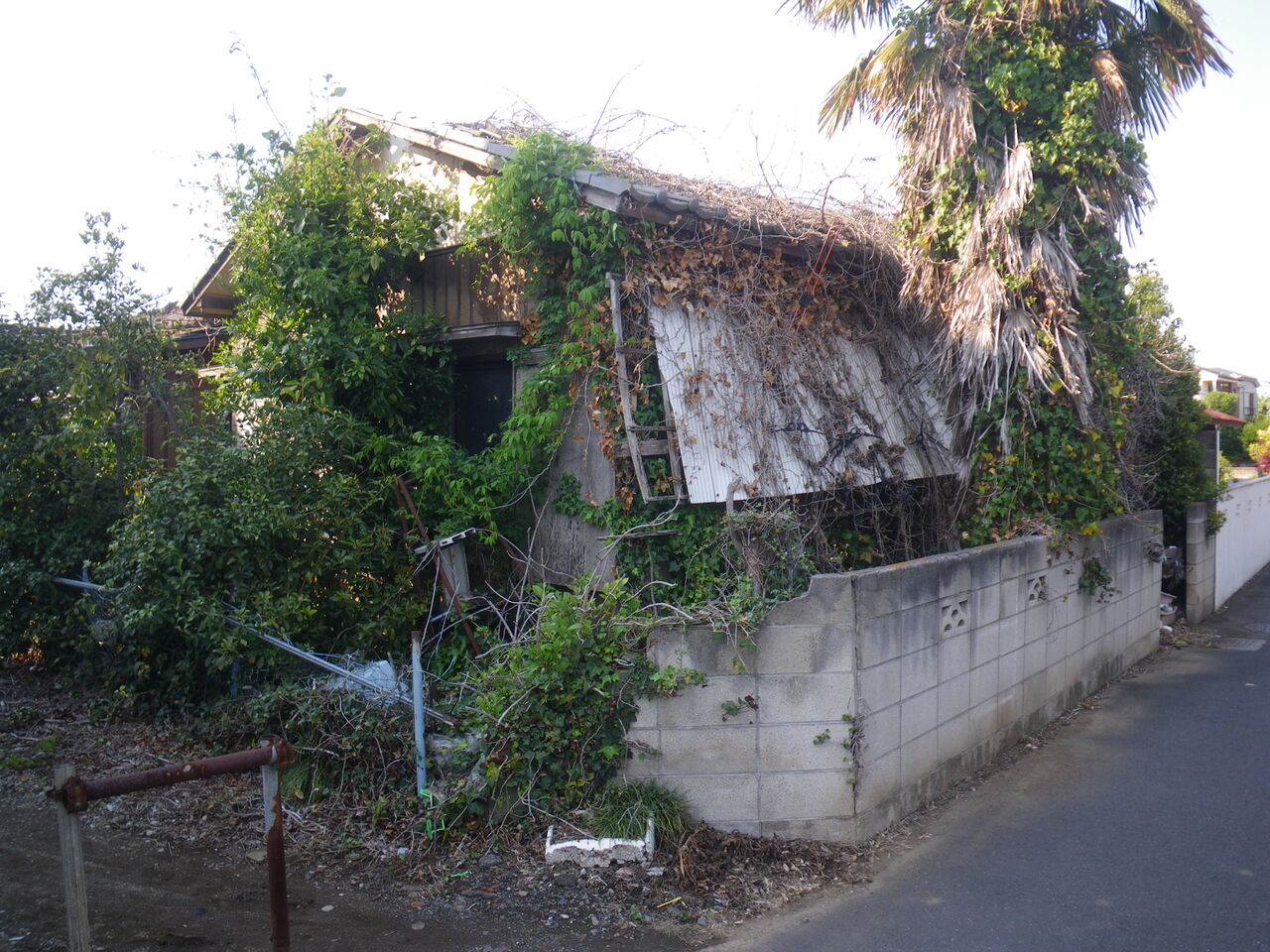 新座市馬場で見つけたもの 路上観察で発見 埼玉県のナイス物件