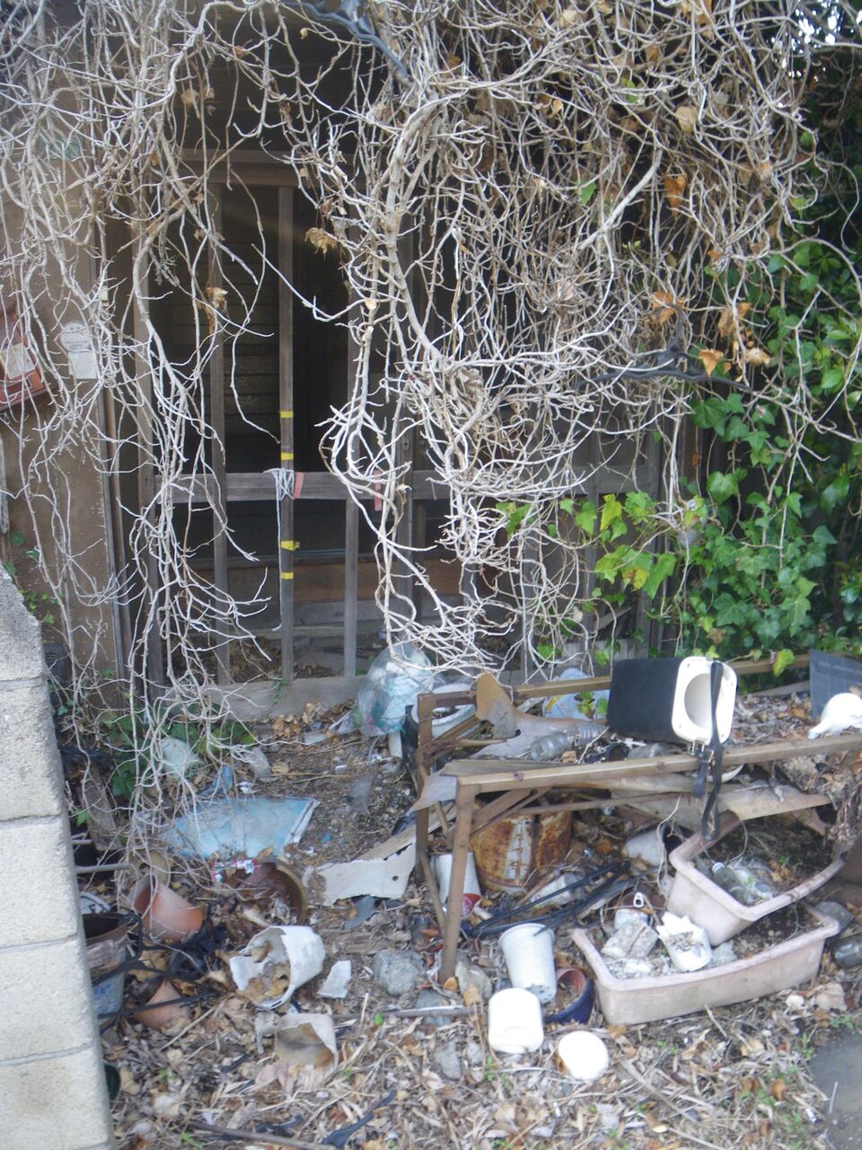 新座市馬場で見つけたもの 路上観察で発見 埼玉県のナイス物件