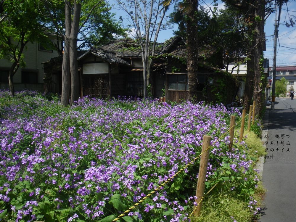 花と古民家廃屋 浦和区 路上観察で発見 埼玉県のナイス物件
