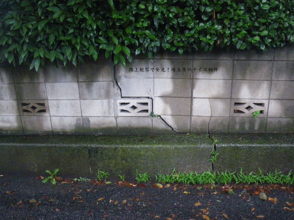 牛沼の傾いた家 所沢 路上観察で発見 埼玉県のナイス物件