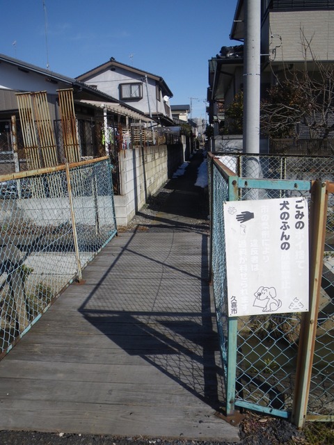 IMGP0017