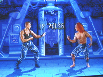 ストリートファイターリアルバトルオンフィルム 怠惰な観察の日々