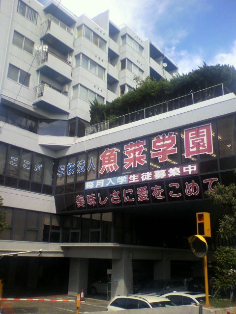 自由が丘のランドマーク 魚菜学園 自由が丘ブログス 自由が丘のランドマーク 魚菜学園 自由が丘ブログス