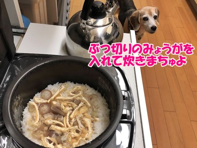 命日とみょうがご飯 ガオだらけな日々