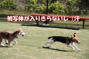 IMG_9577