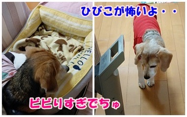 5月1日留守中