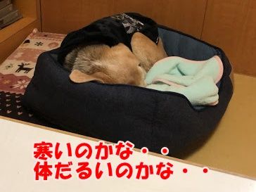 0E63F011-EB3D-4726-8479-18C579501DD2