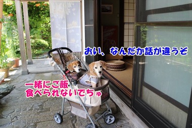 いろり