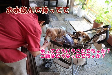 いろり2