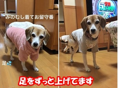 11月20日足