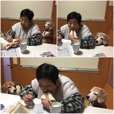パン