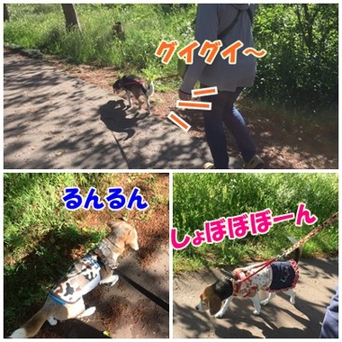 遊歩道