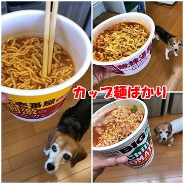 カップ麺