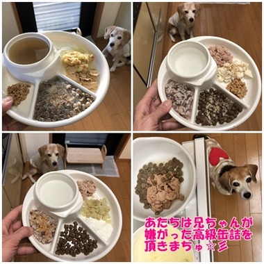 ガオ定食3