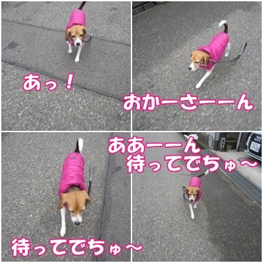 待って~