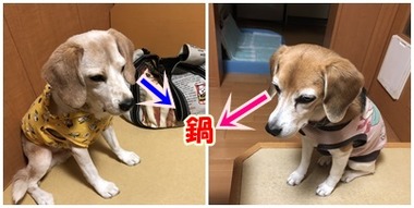 ガン見