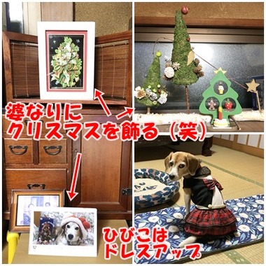 実家