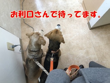 1月8日 (1)