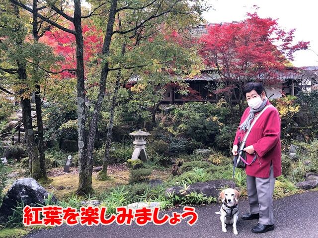 粘り勝ち ゆのくにの森 ガオだらけな日々 粘り勝ち ゆのくにの森 ガオだらけな日々