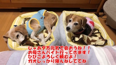 65C555D2-2046-41B9-A579-E7AF9D292E50