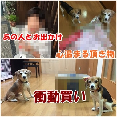 もりだくさん