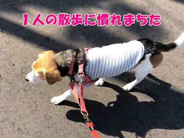 0DD51528-DCCD-4EA3-AE37-C3ADAABDD5CF