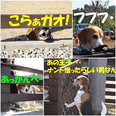 バロン