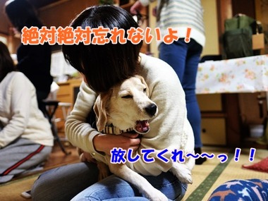 DSCF7602