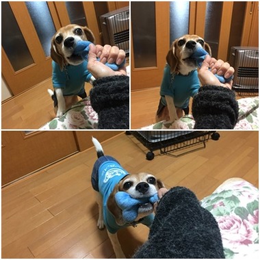 ひびこと遊ぶ