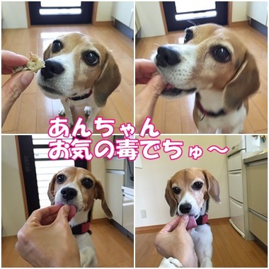 小豆ケーキ