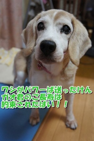 20150506_625569