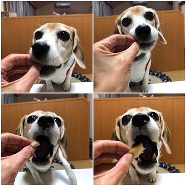 バター