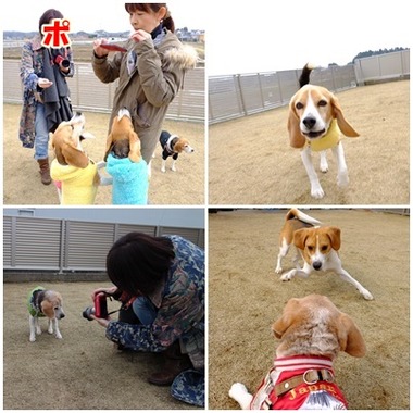 ランまとめ