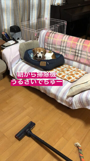 1C51A83F-DF1D-4FB2-AFD3-32EE9F21674D