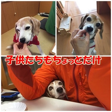 子供たちも一緒