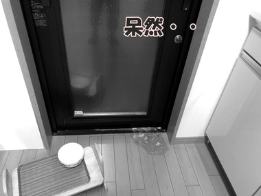 IMG_7952