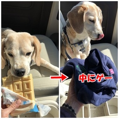 アイスリバース