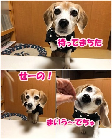 そば