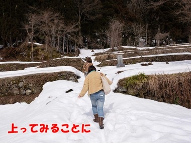 DSCF7359
