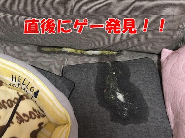 ED13913F-D0EA-4028-96C2-561B8D9449D1