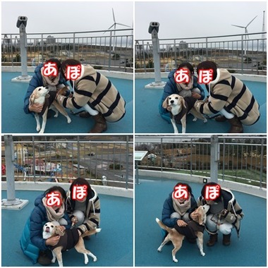 展望台