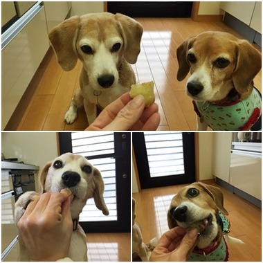 さつまいも餅